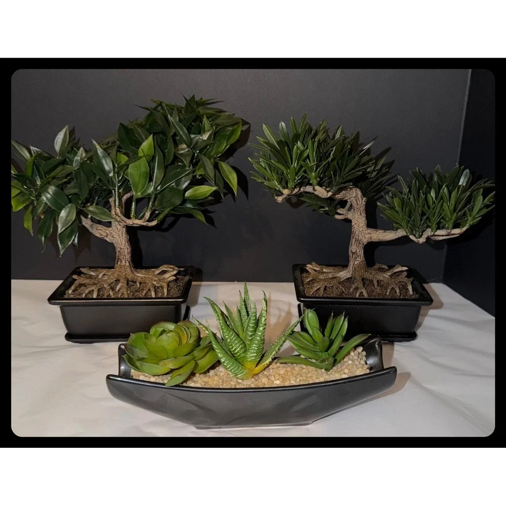 Artificial Bonsai and Succulent Set Home Decor Greenery Black Planters Zen